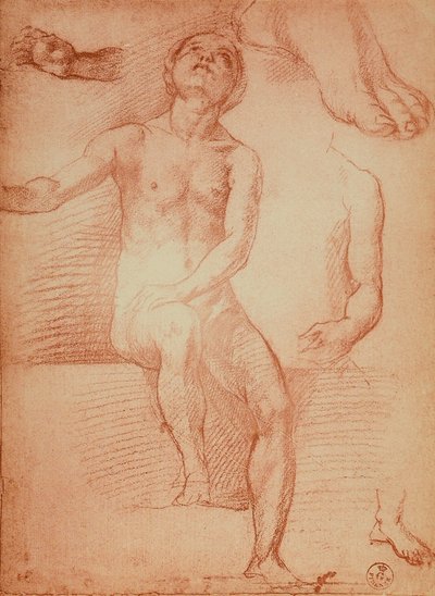 Study of a Nude Figure and Human Limbs by Andrea del Sarto